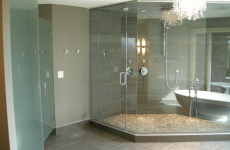 steam_shower_and_water_closet_door