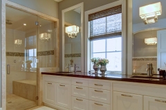 Frameless shower door 2