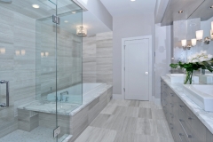 frameless shower door 4