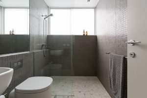 Why Choose Frameless Glass Shower Doors - House of Mirrors and Glass - Mirrors and Glass Store - Featured Image